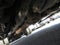 2019 Ford Super Duty F-550 DUMP TRUCK, EXT XL