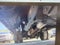 2020 Ford Super Duty F-350 DRW XL
