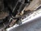 2015 Ford E350, 10 PASS, HANDICAP BUS E-350 Super Duty 138" DRW