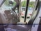 2022 Ford E-350, 14 PASSENGER SHUTTLE BUS E-350 SRW 138" WB