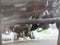 2021 Ford F-450 14' BOX TRUCK, CANTILEVER LIFT GATE XL