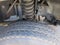 2015 Ford F-450, UTILITY TRUCK, LIFTGATE & SNOW PLOW XL